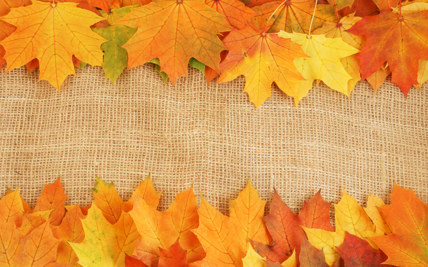 Autumn Leaves Textures Photo Background