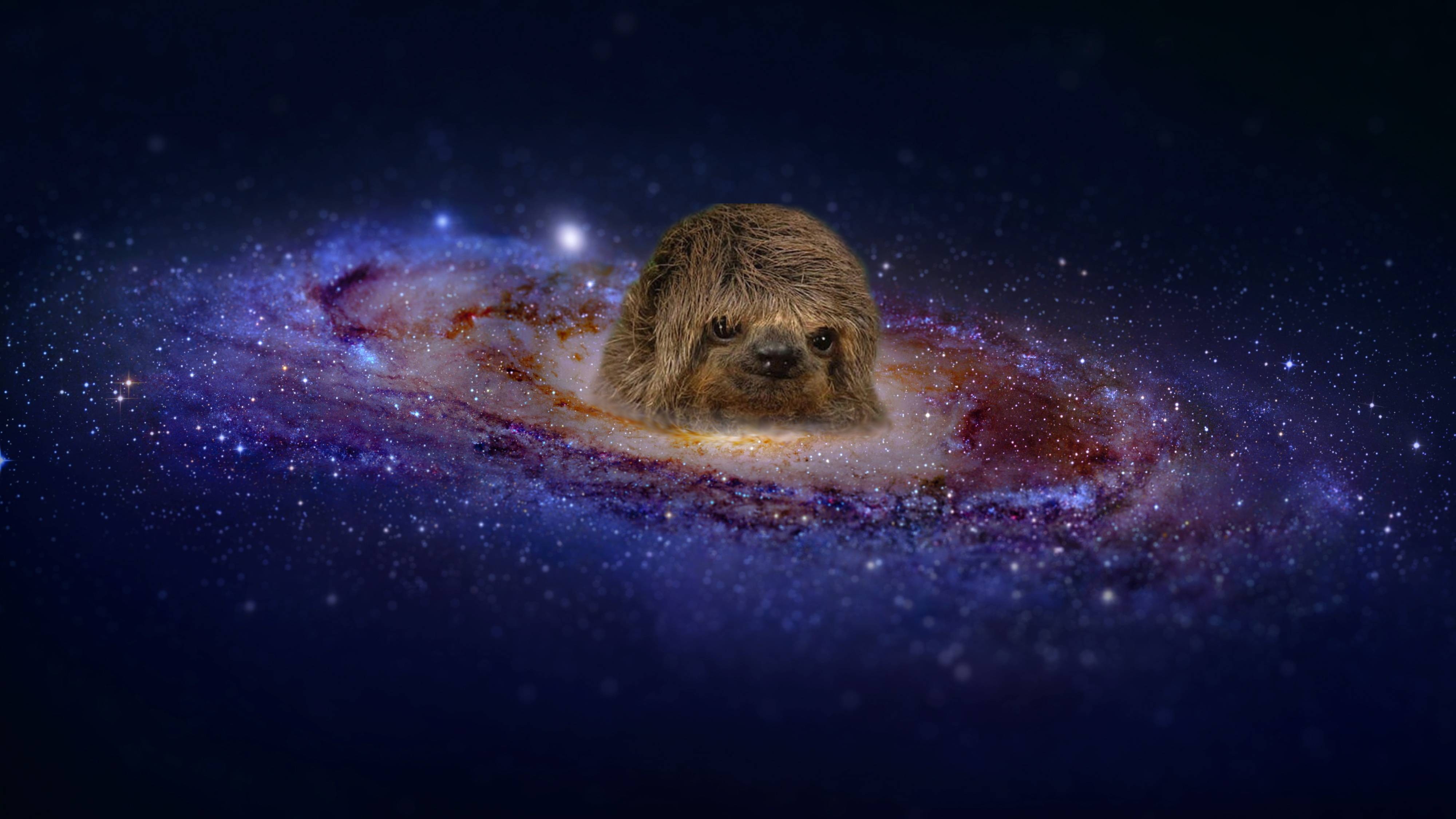 Space Sloth X