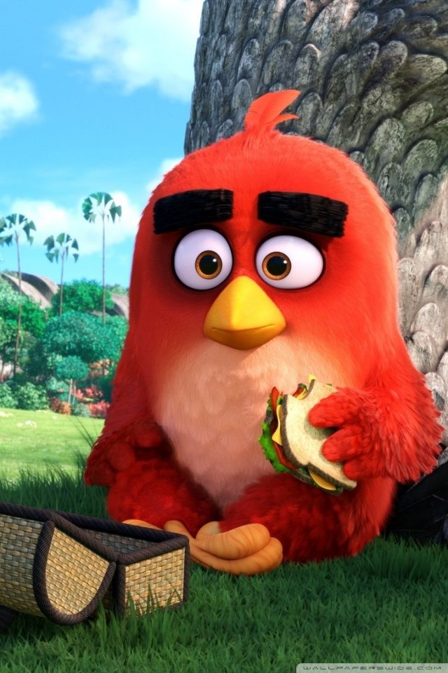 Red Angry Birds Movie HD Desktop Wallpaper Widescreen High