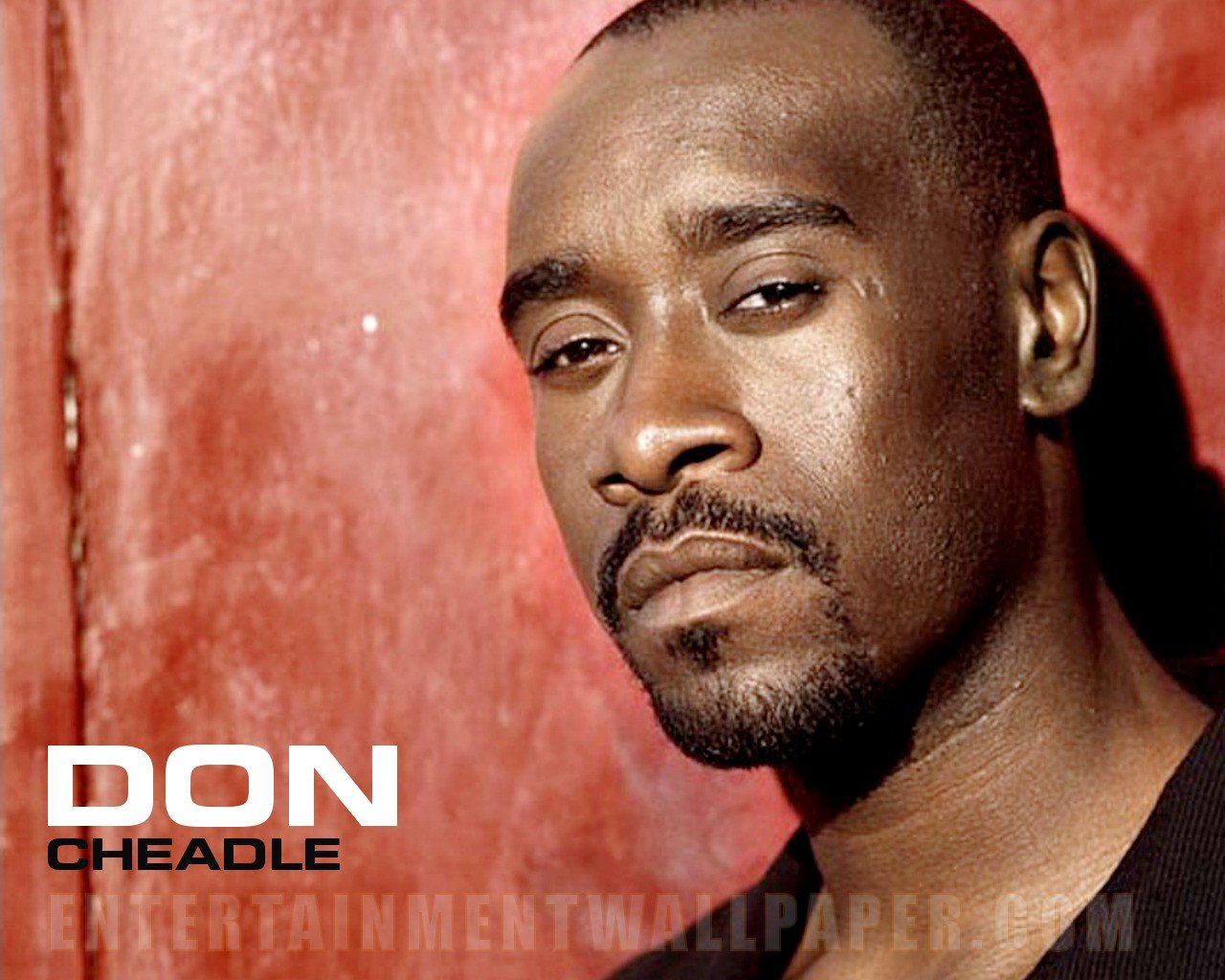 Don Cheadle Picture Pictures Website Best