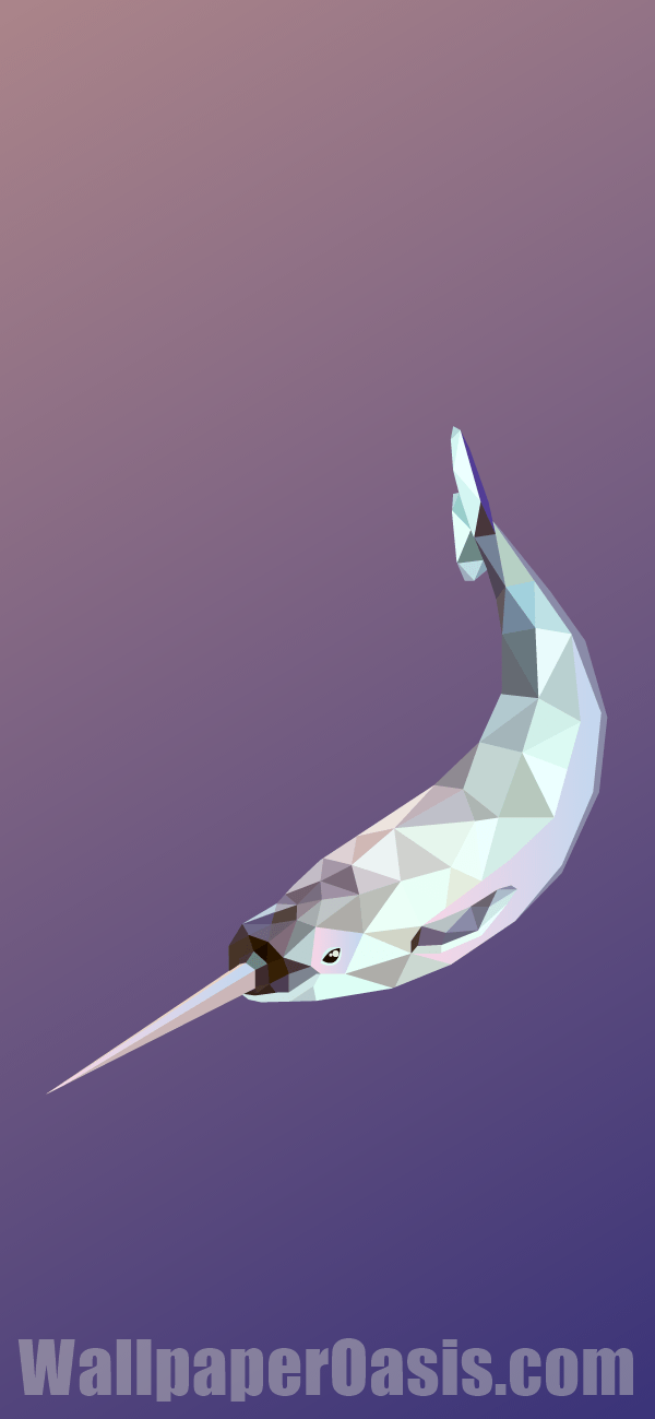 Geometric Narwhal iPhone Wallpaper This Design Is Available