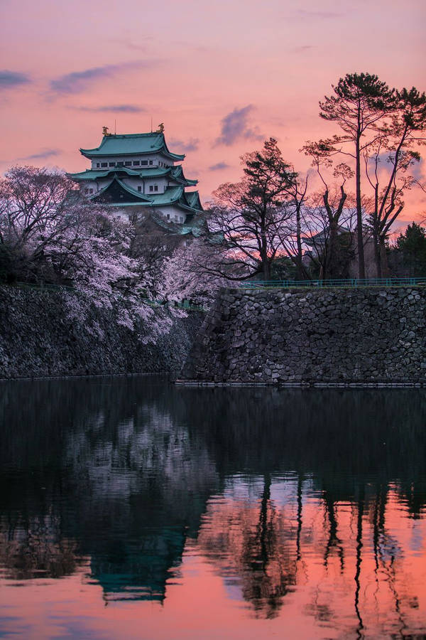 Nagoya Nzbw8jhzb059r58j Wallpaper