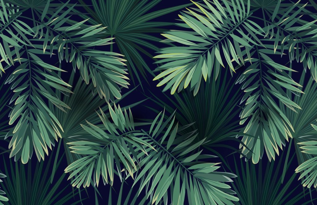 Tropical Plant Wallpaper Muralswallpaper