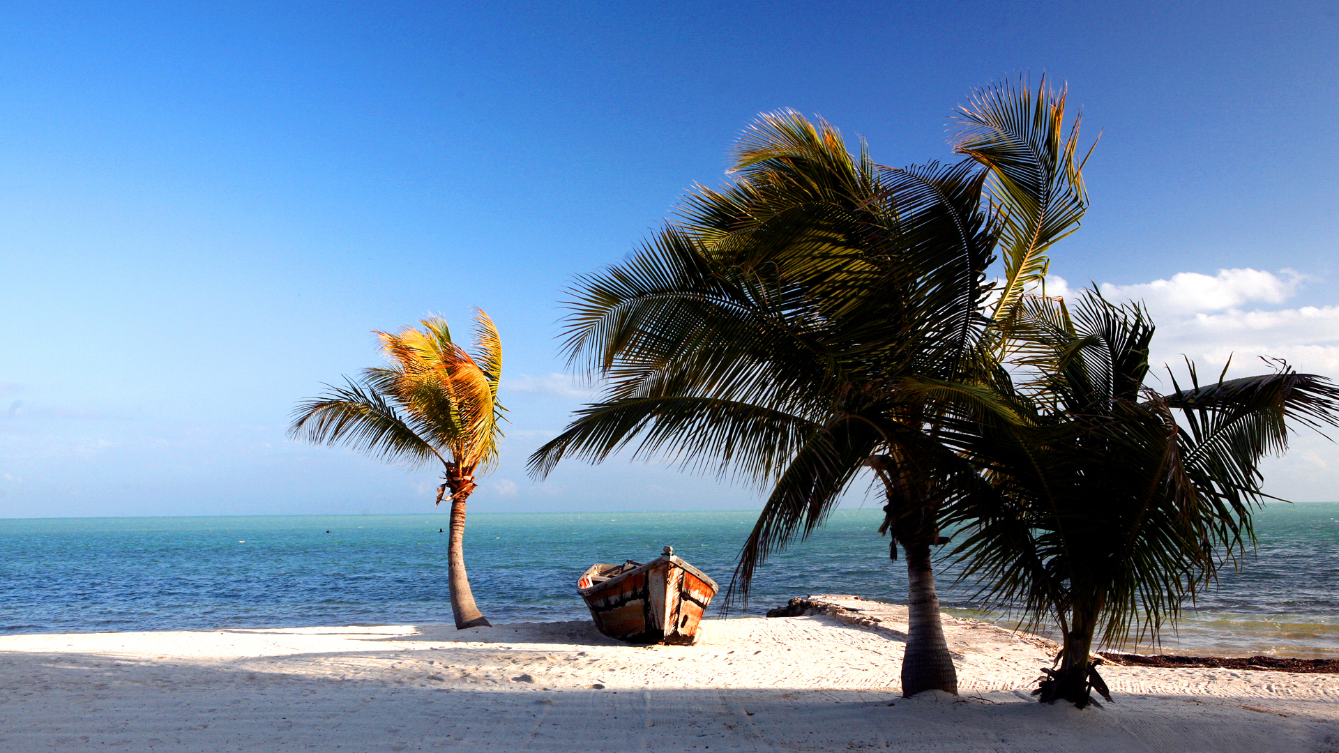 Florida Keys Beach