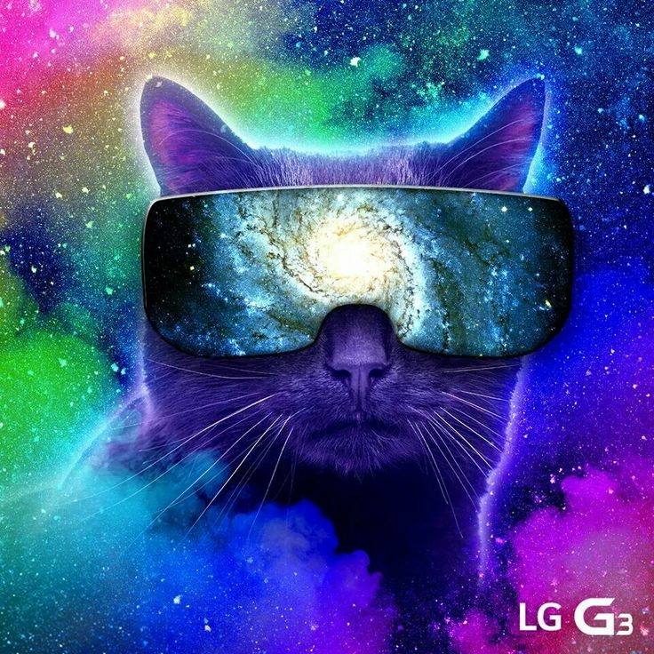 Space Cat Colorful Background Background Wallpaper