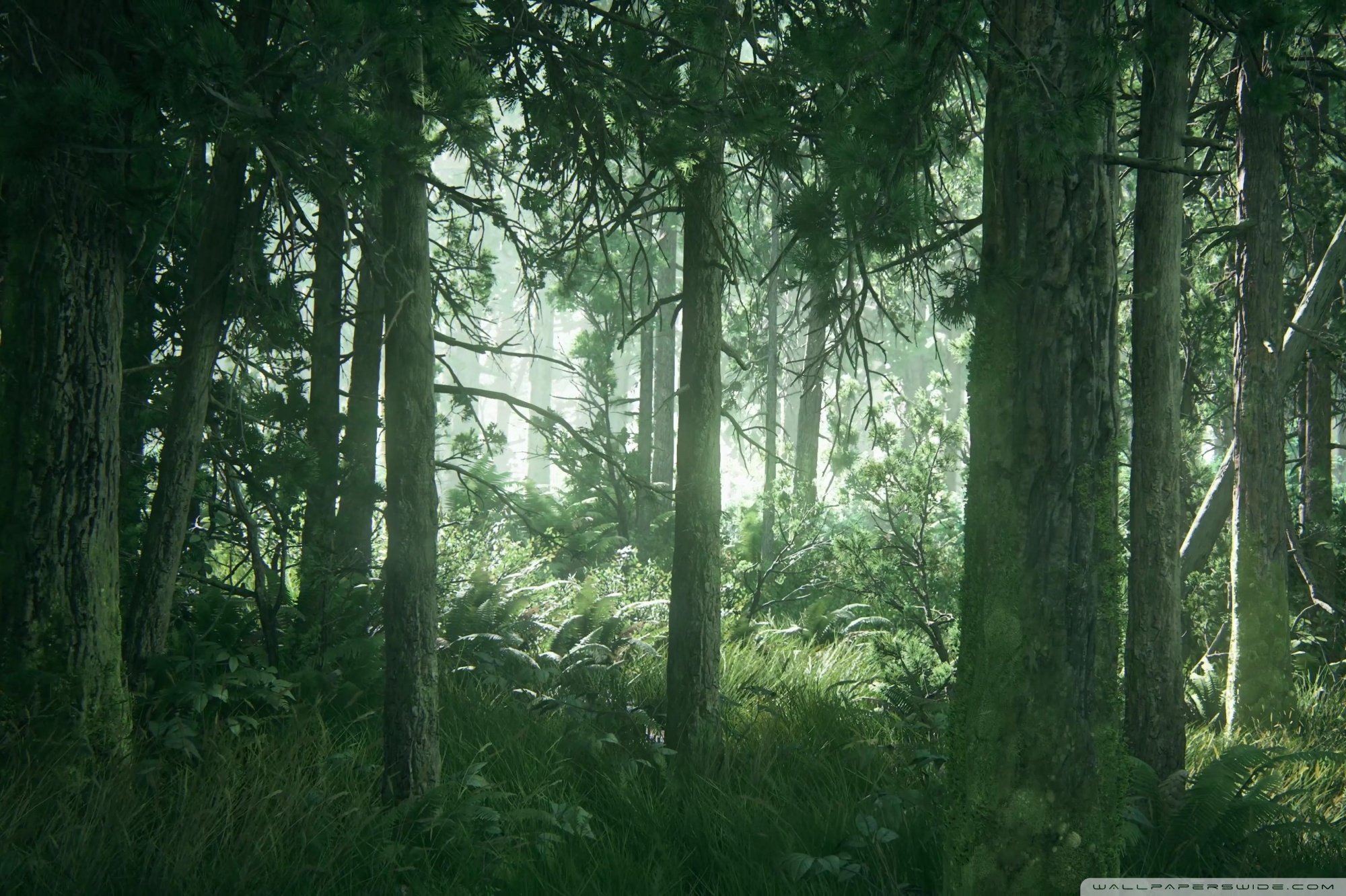 The Last of Us Part II 2020 Ultra HD Desktop Background Wallpaper