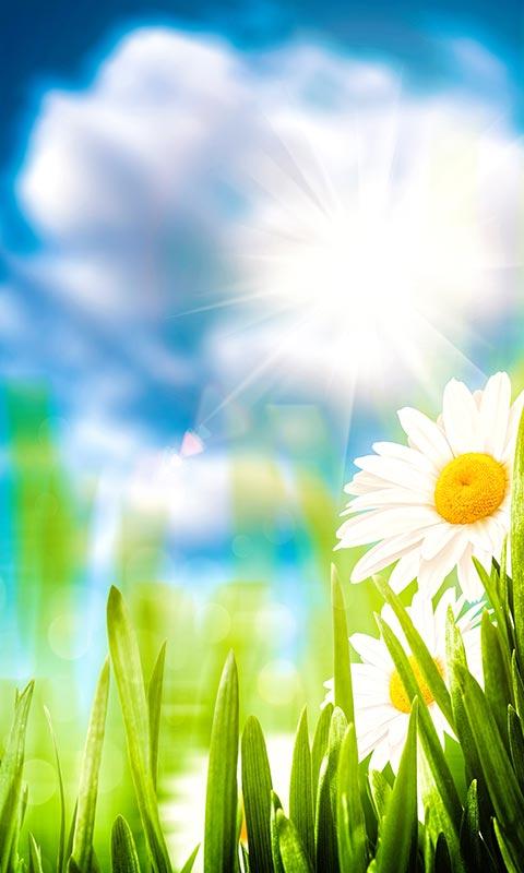 Spring Live Wallpaper Android Apps And Tests Androidpit