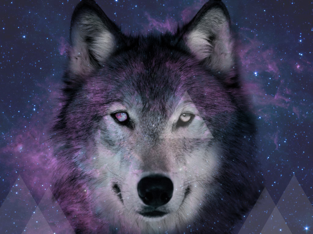 Hipster Ish Space Wolf By Xxvenomazoidxx