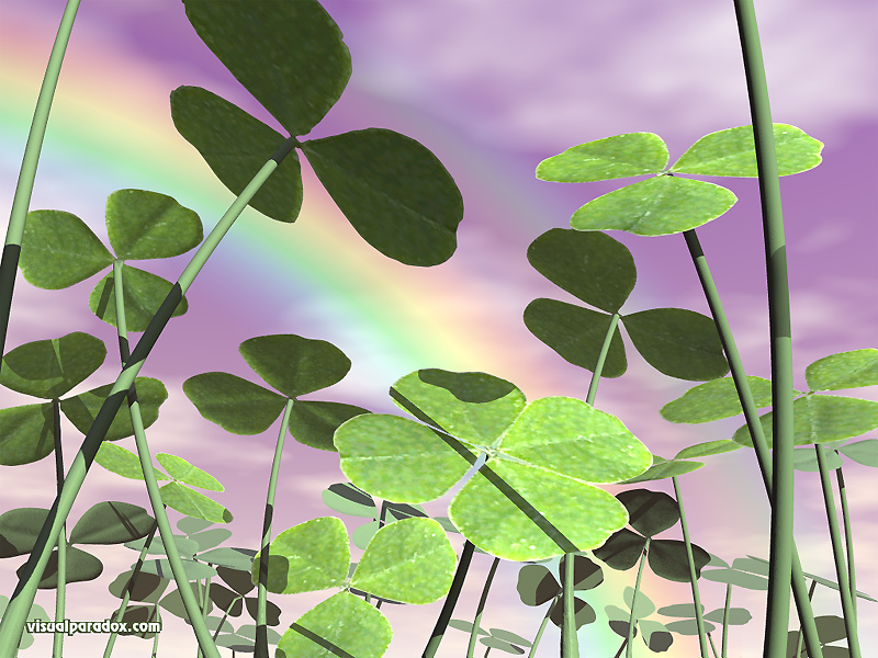 St Patrick S Day Saint Ground Cover Clovers 3d Wallpaper