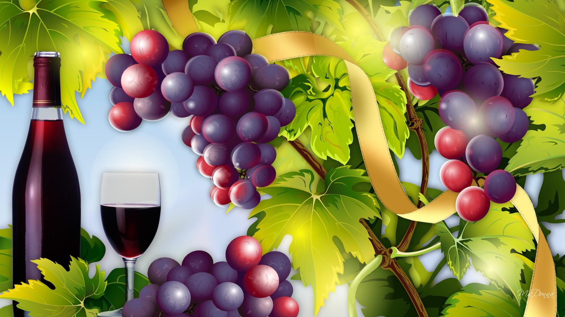 Wine And Grapes Vector HD Wallpaper