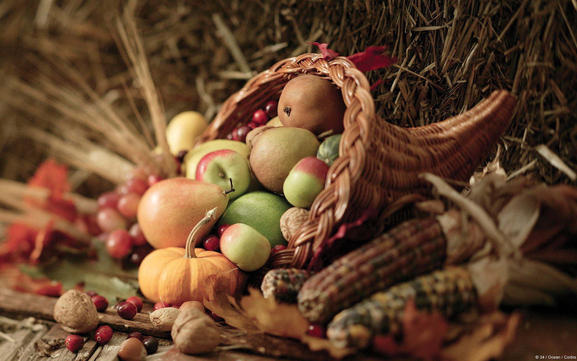 Thanksgiving Themes Desktop Wallpaper More