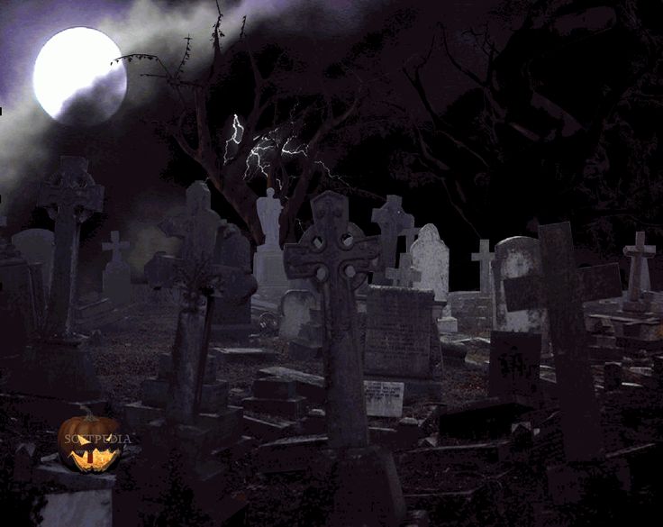 Halloween Background HD Animated Wallpaper Nupe
