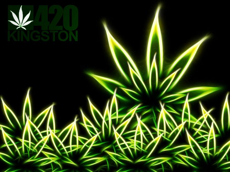 Awesomely High Happy Weed Day HD Wallpaper
