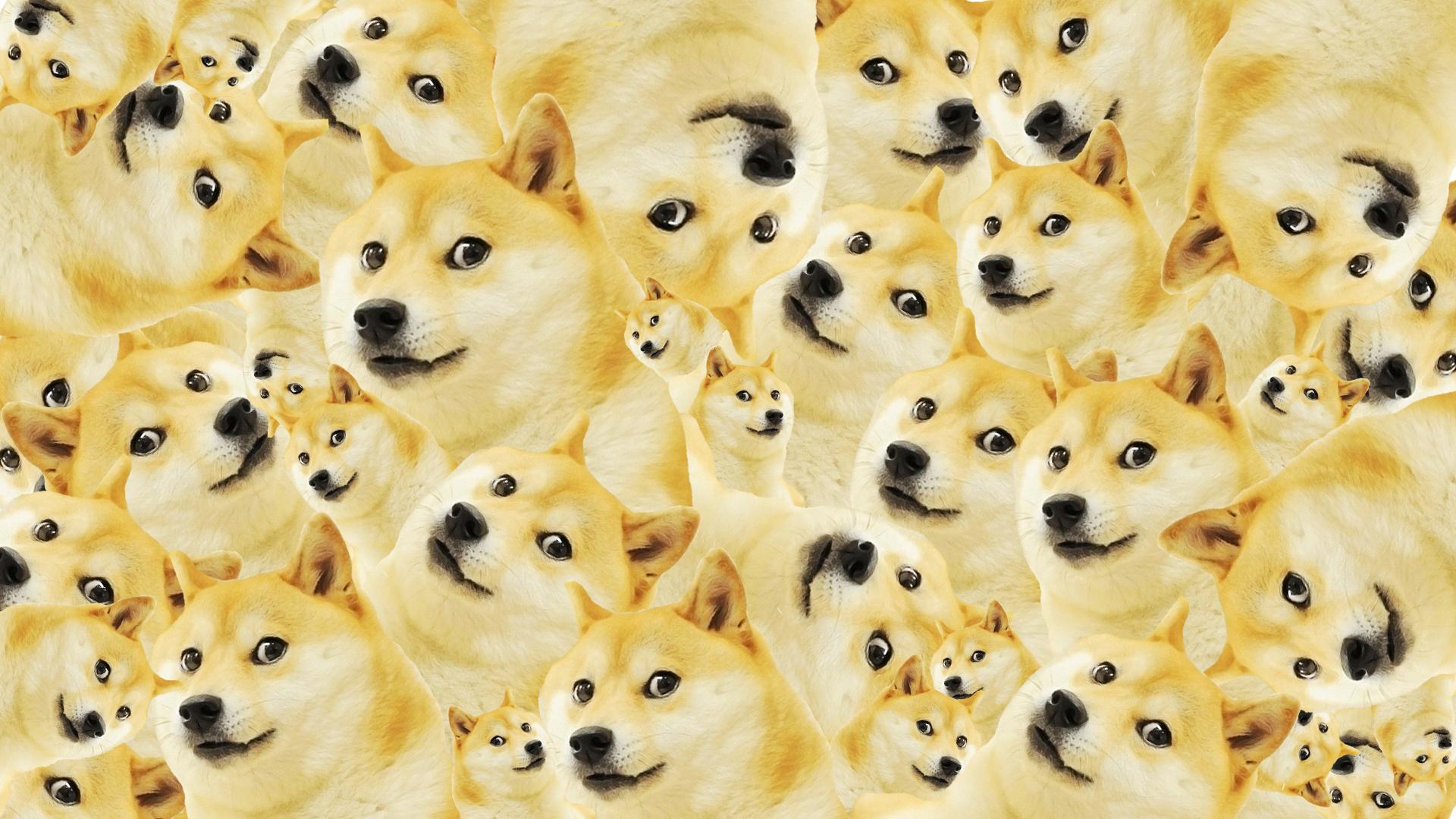 An Image I Made Give As Background To Shibes Dogecoin