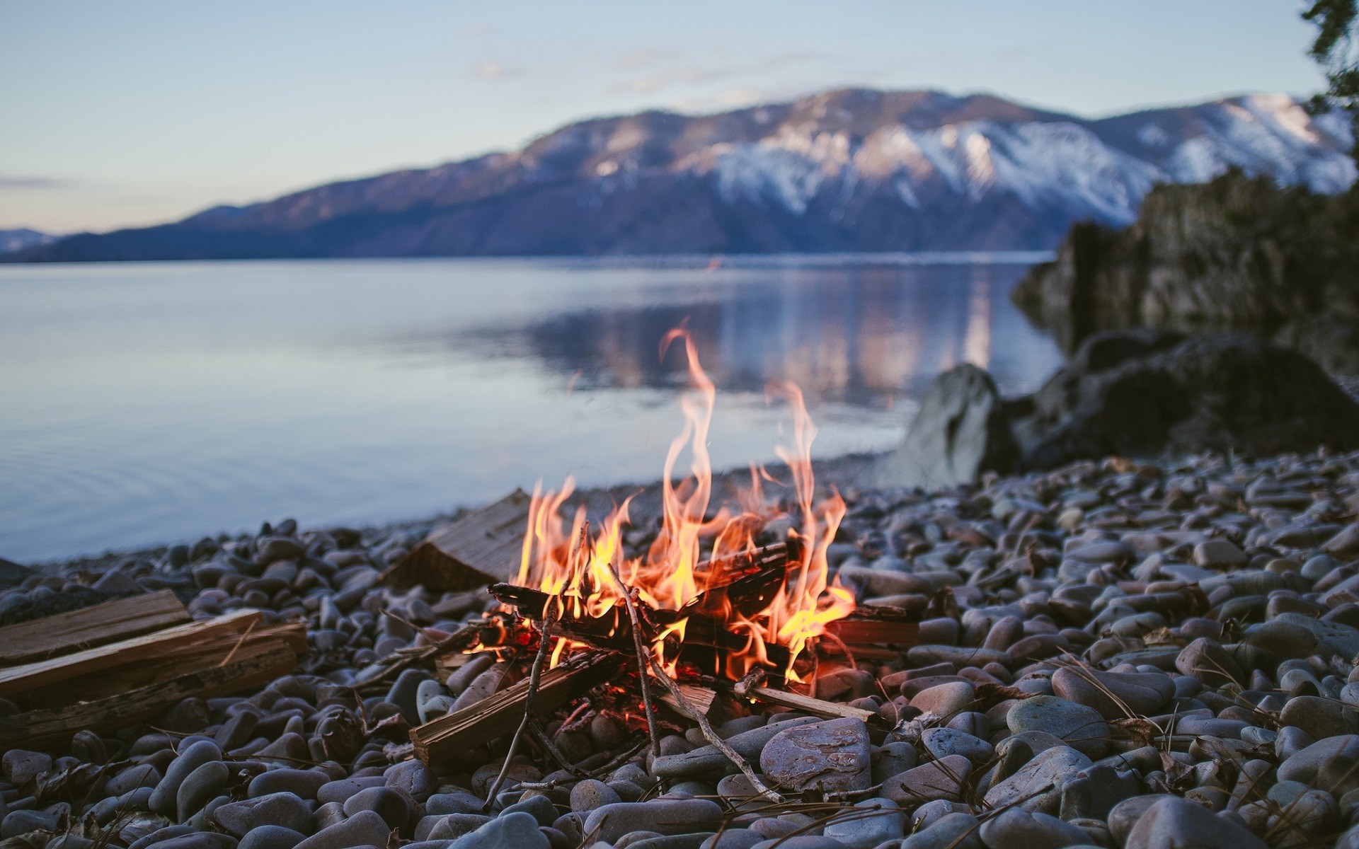 Fire Campfire Lake Stones Stone Depth Of Field Nature Water