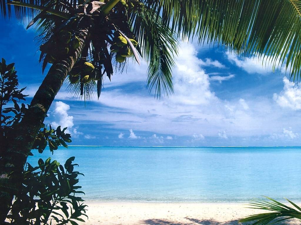 Beach Bora Tahiti Wallpaper Background