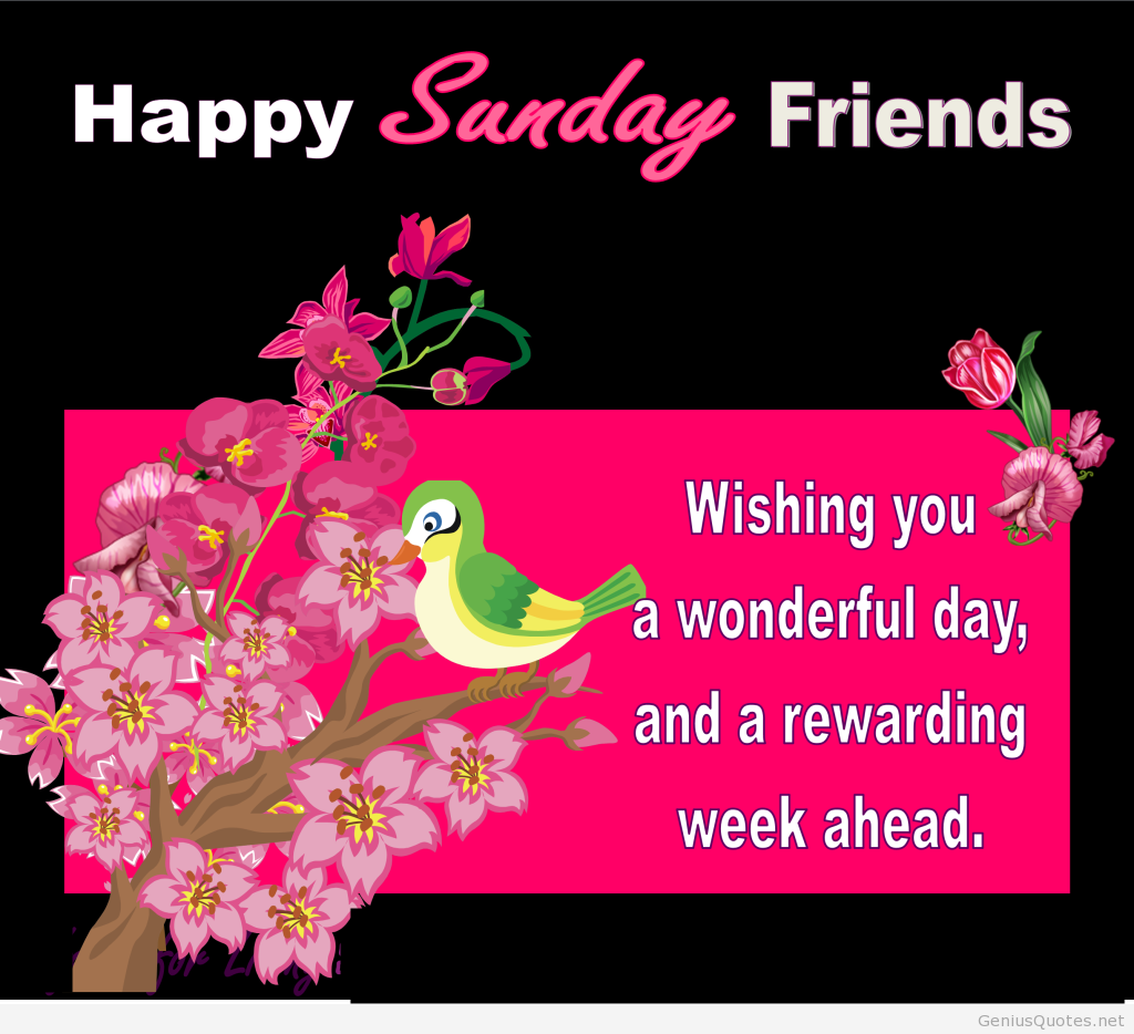 Happy Sunday friends hd wallpaper quote