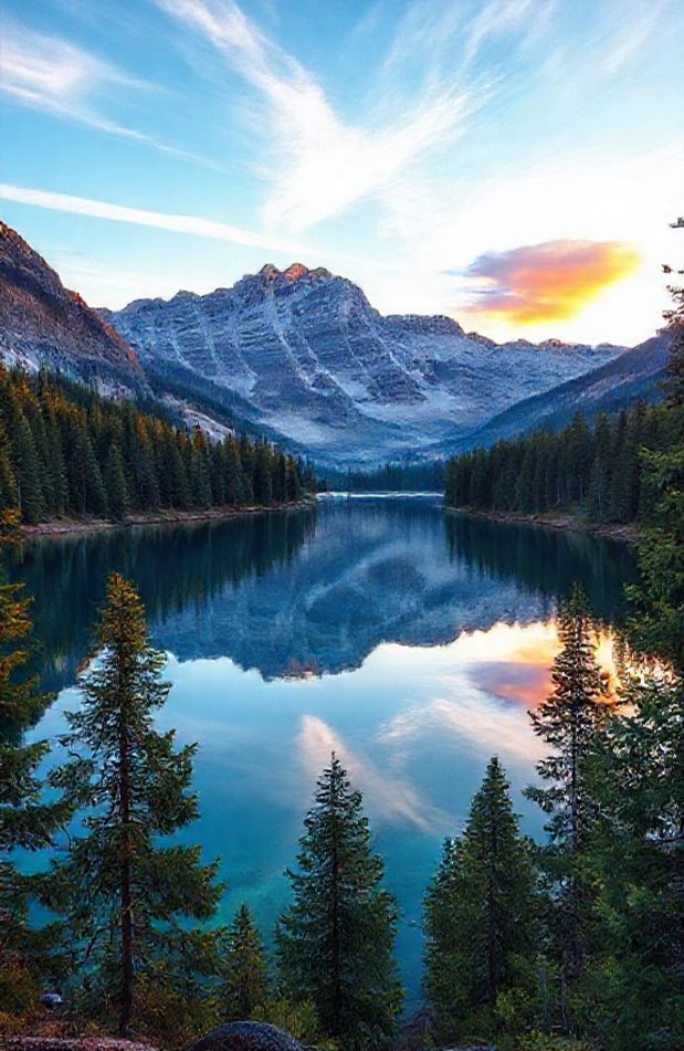 HD Wallpaper Of Nature