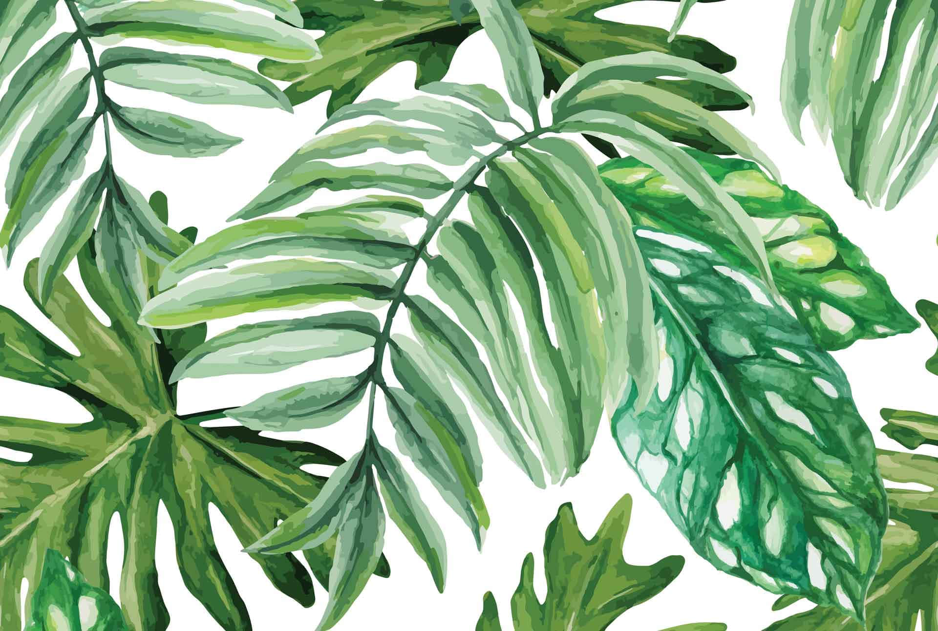 Aesthetic Palm Leaves Wallpaper