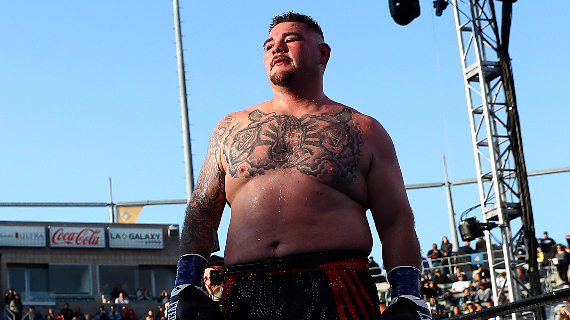 Andy Ruiz Jr Wallpaper