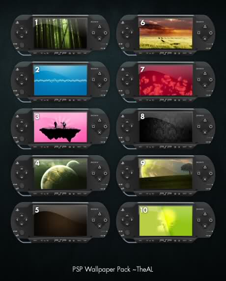 PSP Wallpapers Theme Bin 460x572