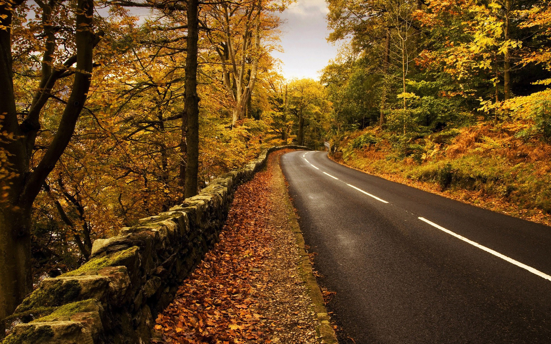 Mountain Road In The Fall Wallpaper