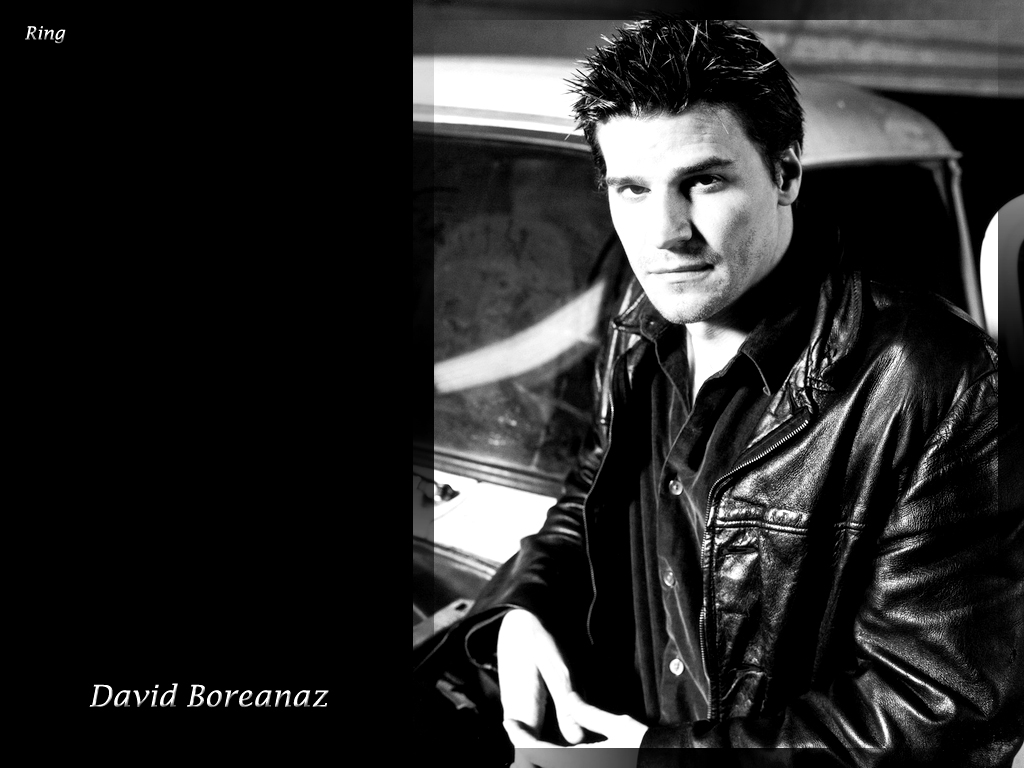 David Boreanaz Wallpaper