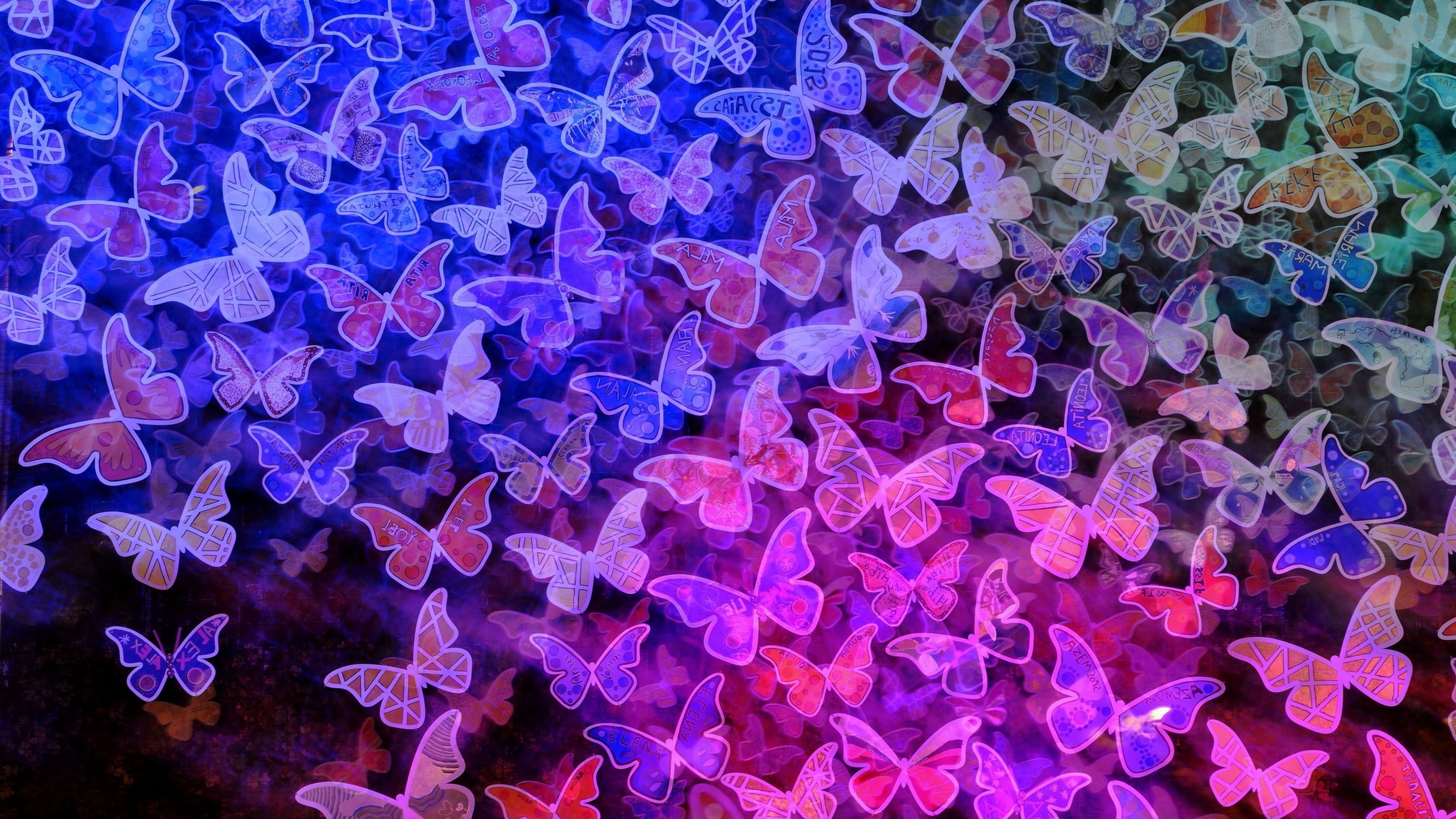 Butterfly HD Creative 4k Wallpaper Image
