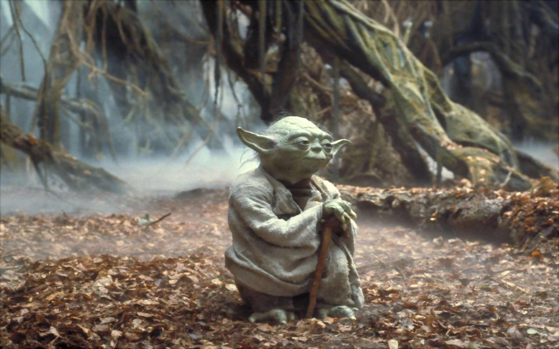 Wallpaper hd con el maestro Yoda de protagonista El sabio Yoda vuelve