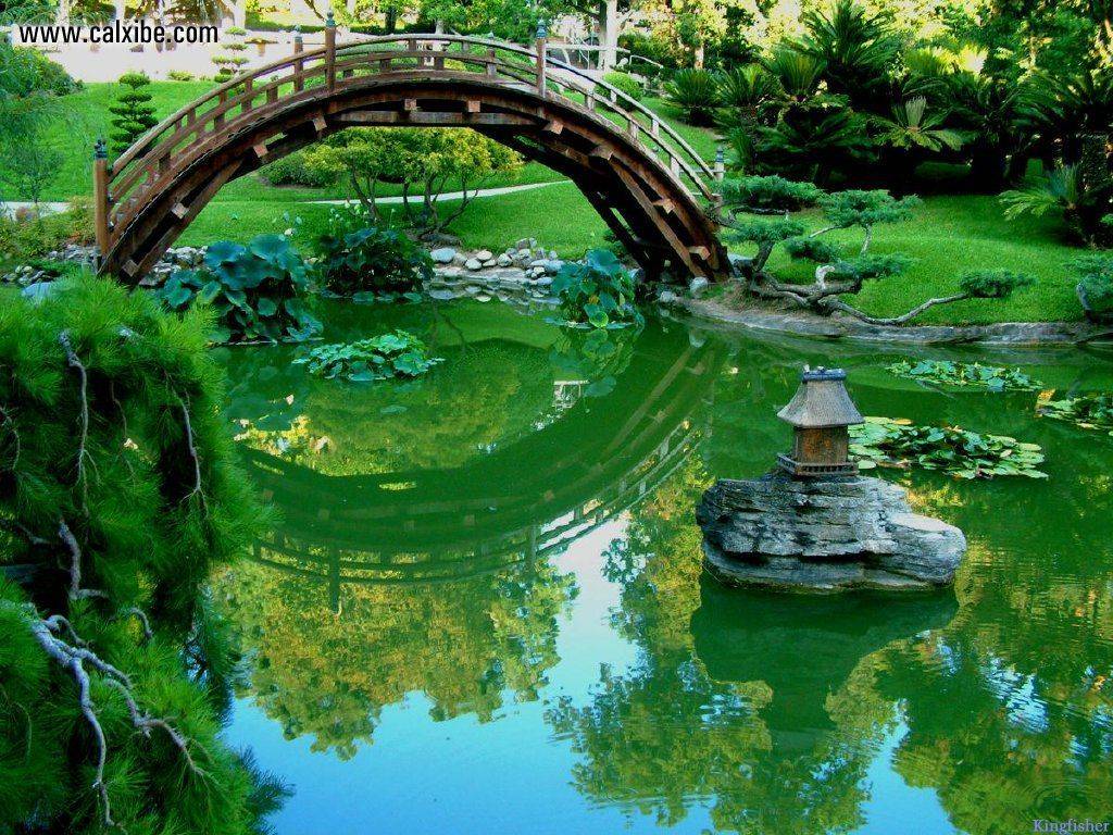 Japanese Garden Bridge Over Pond Beautiful Pictures Wallpaper