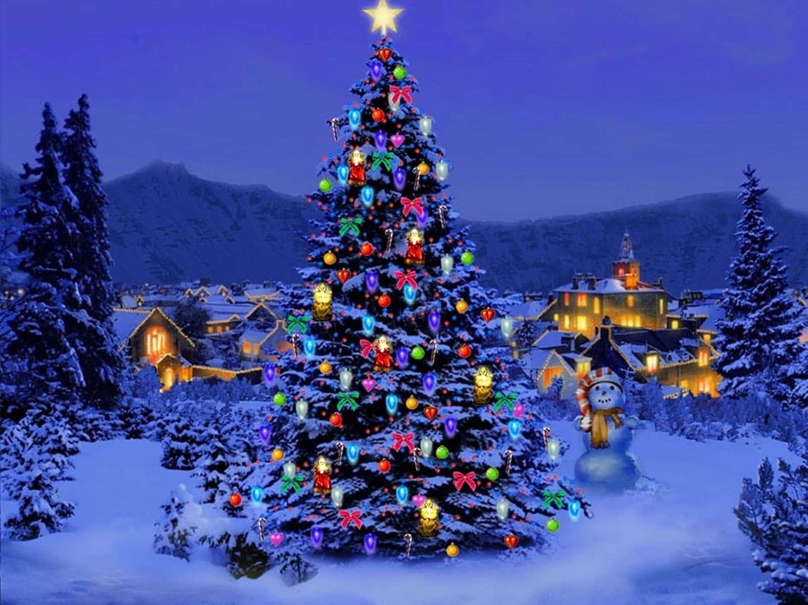 Beautiful Big Christmas Trees Picture Wallpaper