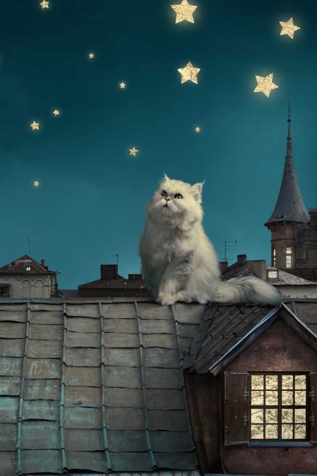 Fairy Tale Mobile Wallpaper Mobiles Wall Persian Cat White