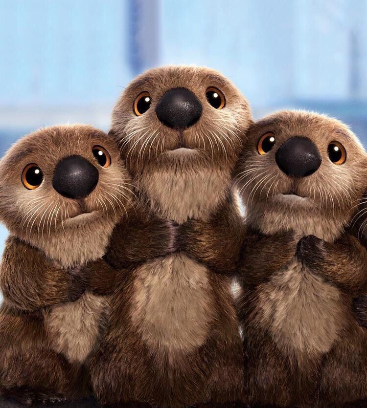 Adorable Otters Too Cute Not To Pin In Otter
