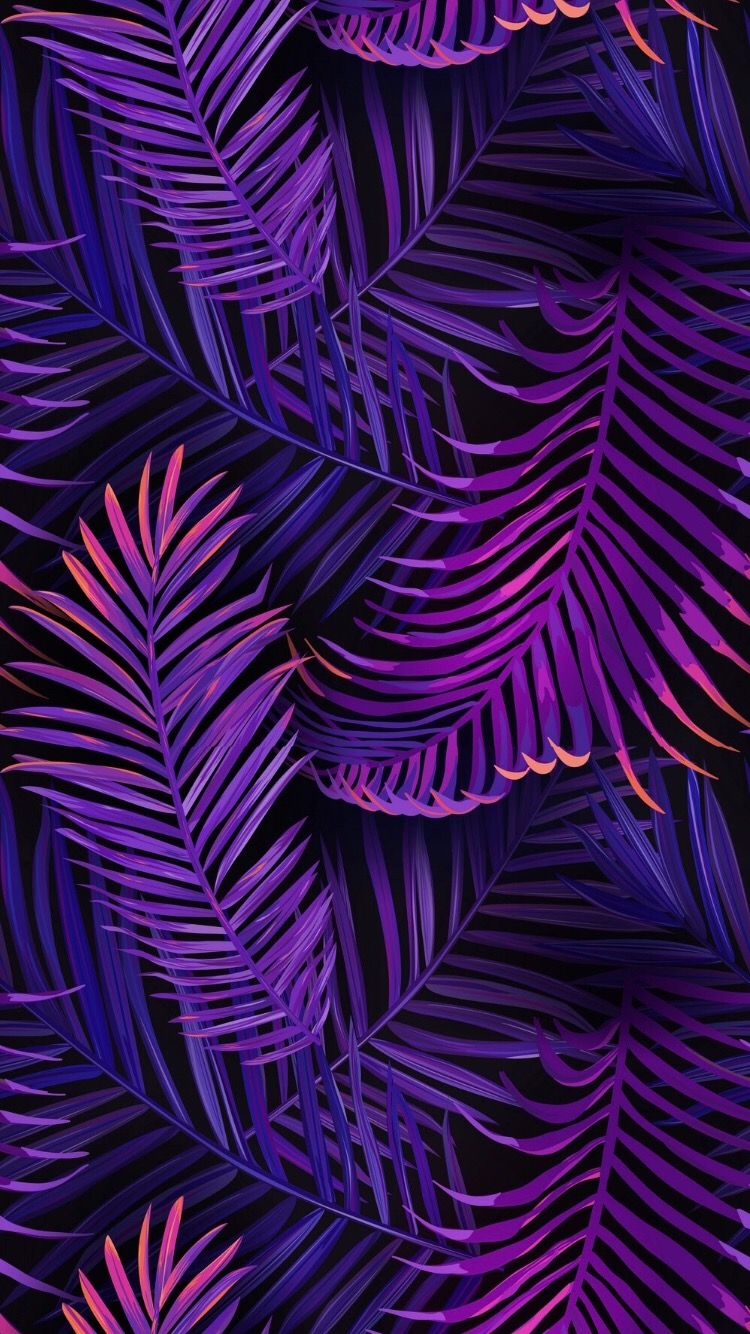 Gabri On Sfondi Wallpaper