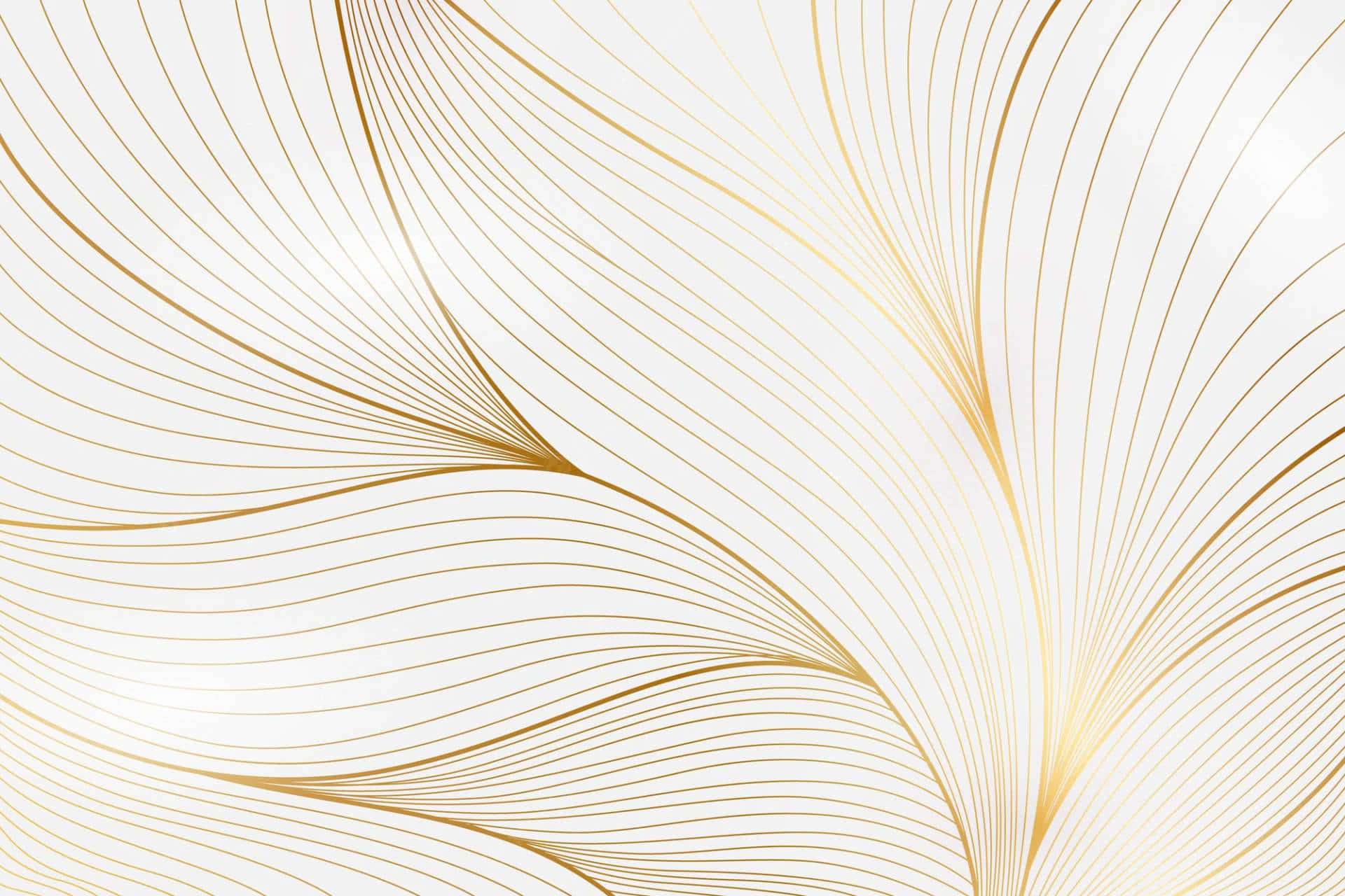 White And Gold Background Wallpaper