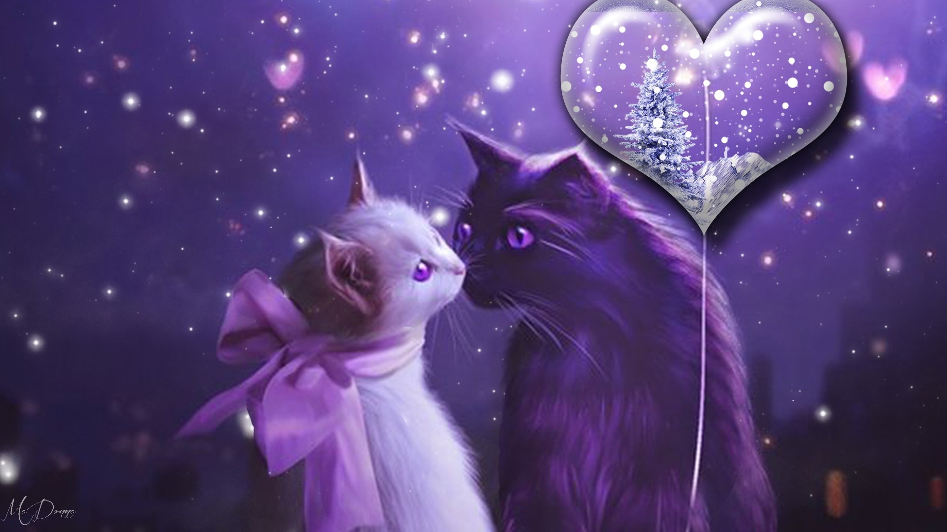 Valentine Cats Wallpaper Image