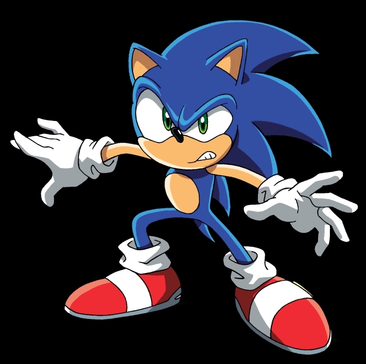 Sonic the Hedgehog   Sonic Characters Photo 1485973