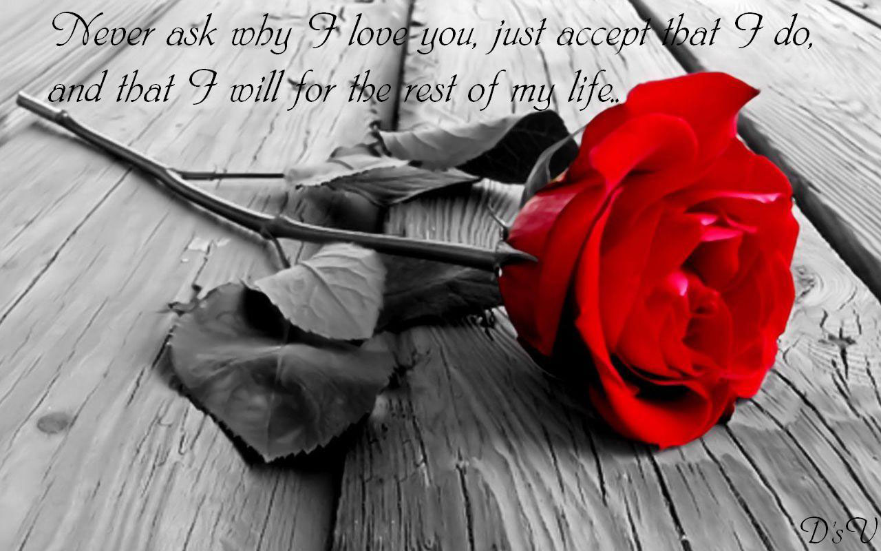 Love Quote Wallpaper Pictures Image