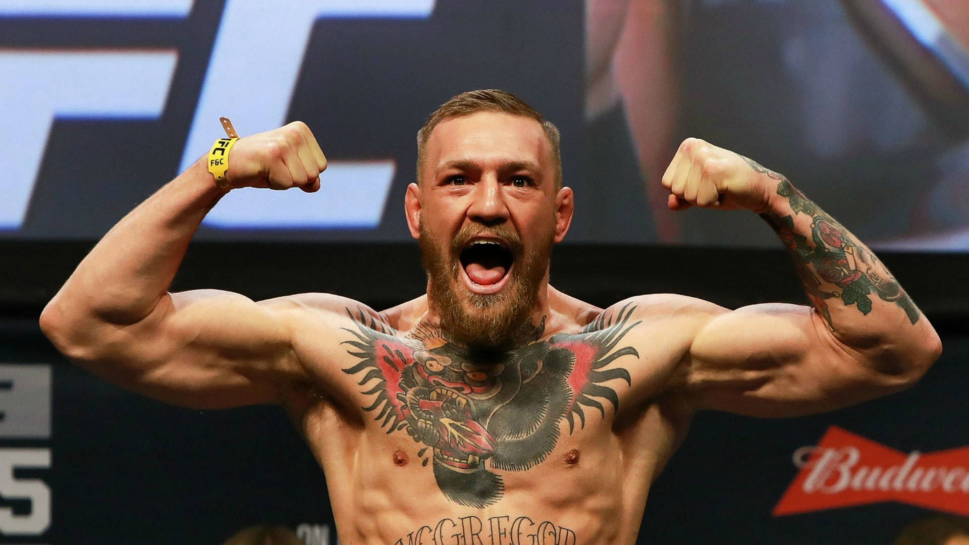 Conor Mcgregor Wallpaper