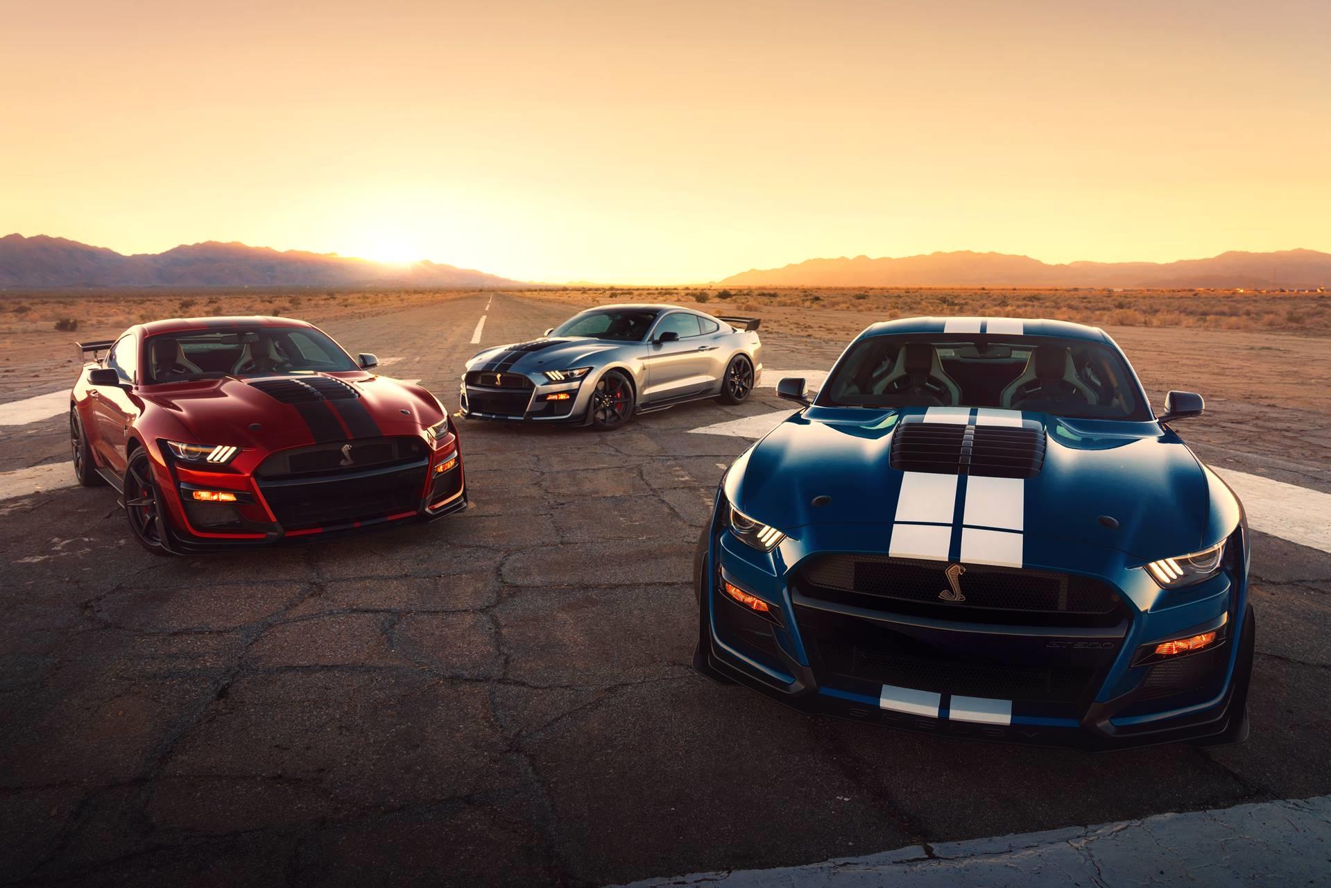 Ford Mustang Shelby Gt500 News And Information