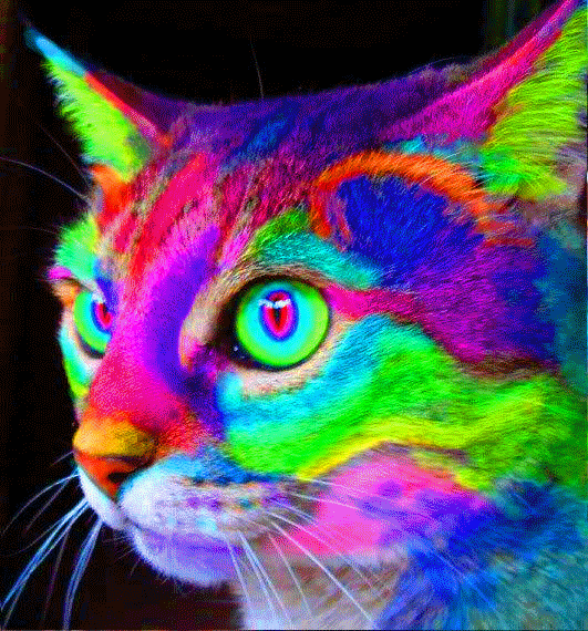 Trippy Cat Wallpaper - WallpaperSafari
