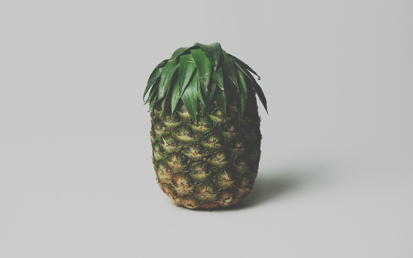 Pineapple Wallpaper Related Keywords Suggestions