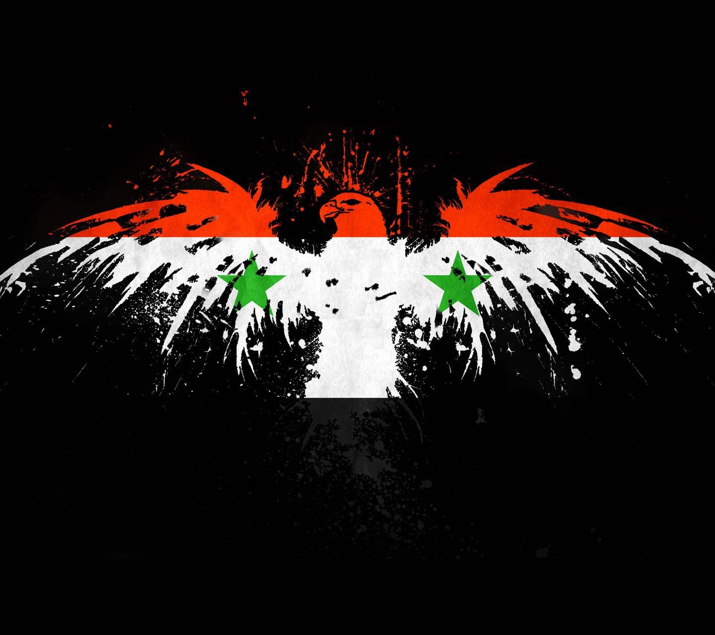 A stylized image of a hawk with the Syrian flag overlaid on its wings, symbolizing Syrian freedom and resilience