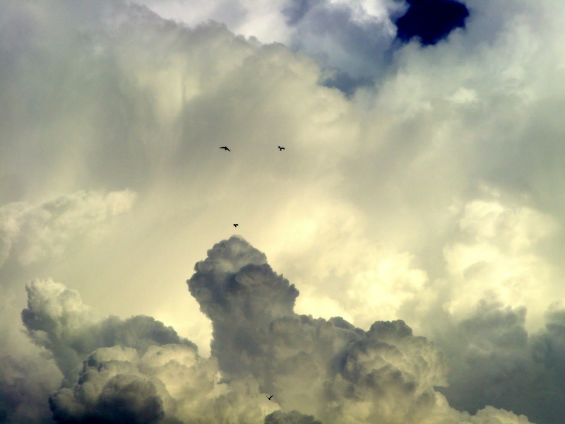 birds clouds Sky of Hope Nature Sky HD Desktop Wallpaper