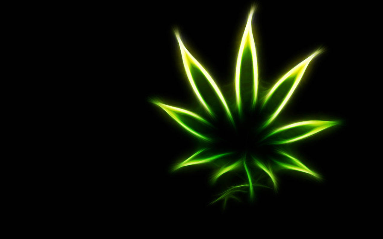 Pot Weed HD Wallpaper Color Palette Tags Black Red Marijuana