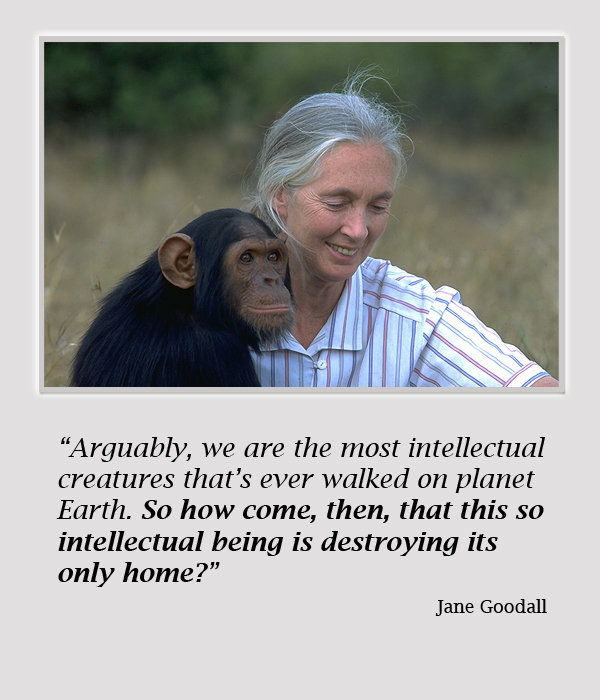 Jane Goodall S Quotes Famous And Not Much Quotationof