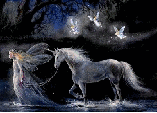 Unicorns And Fairies Animated Fairy With Horse Angels Wallpaper