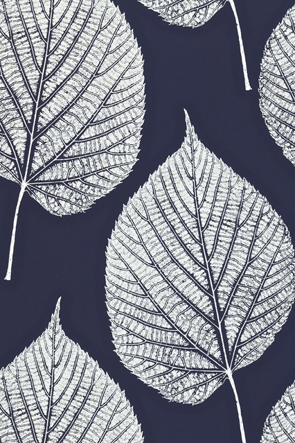 [47+] Leaf Wallpaper Designs | WallpaperSafari.com
