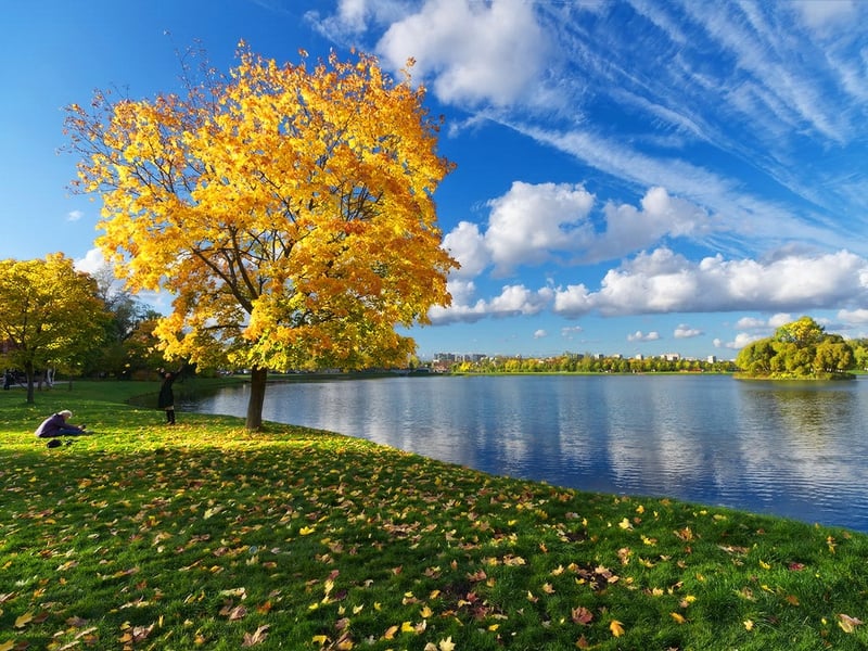 autumn autumn tree Calm water Nature Lakes HD Desktop Wallpaper