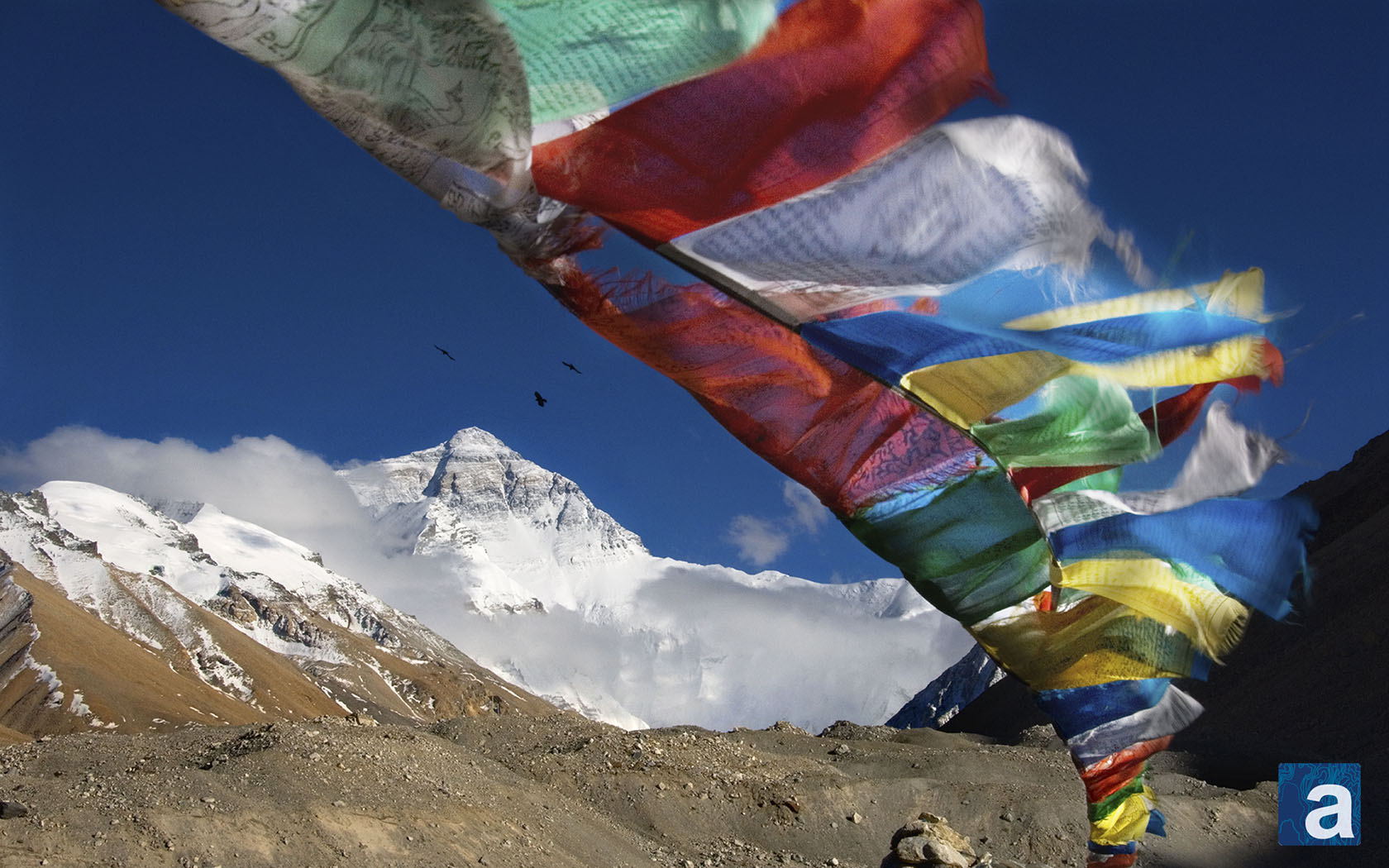 Journal Wallpaper Wednesday Mt Everest And Prayer Flags